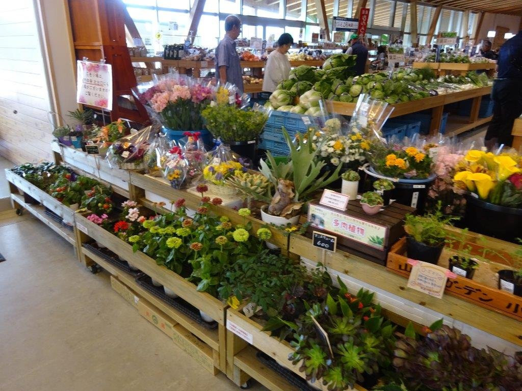 Michi-no-Eki Healthy Terrace Sakuminami-佐久市必去景点