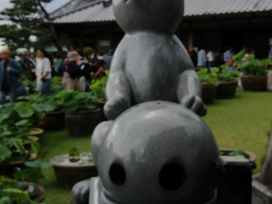Mimuroto-ji Temple Komausagi-宇治市必去景点