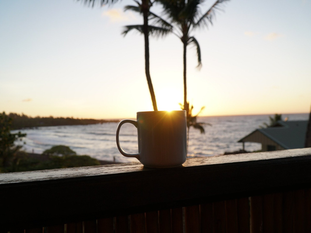 Bamboo Inn on Hana Bay主图