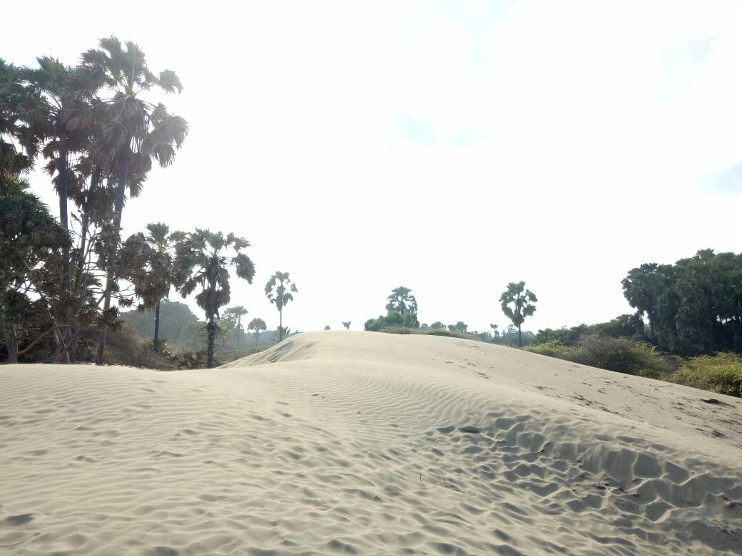 Oetune Beach景点图片