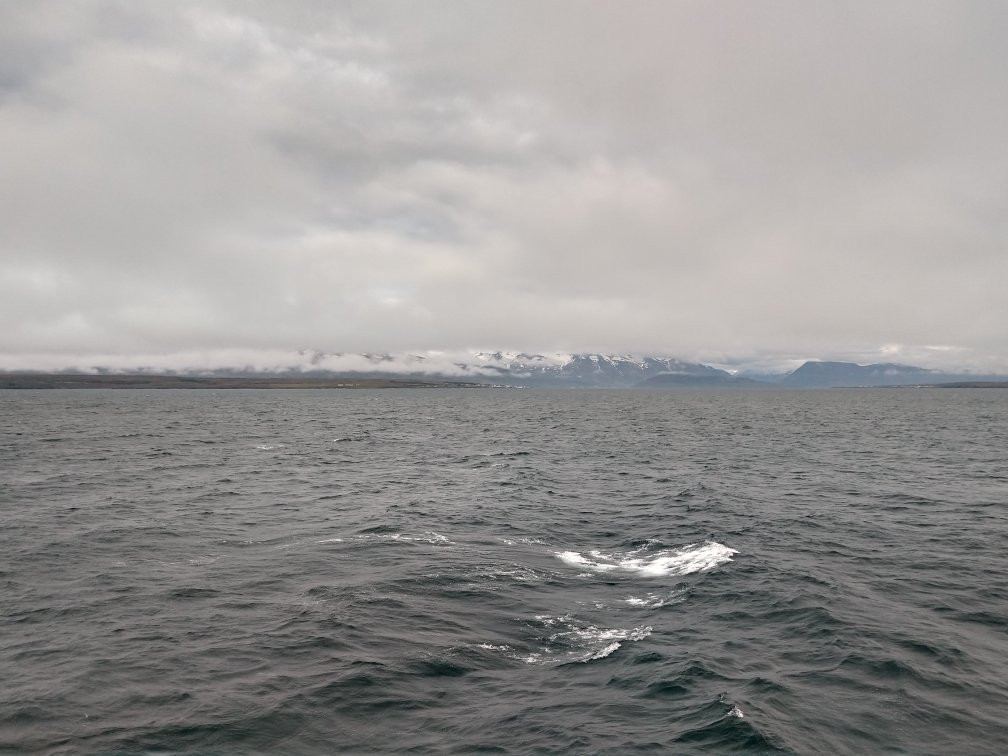 Saefari-Dalvik必去景点