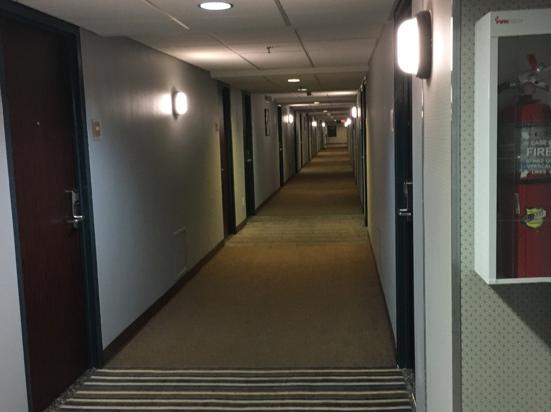 卡拉马祖福朋喜来登酒店主图