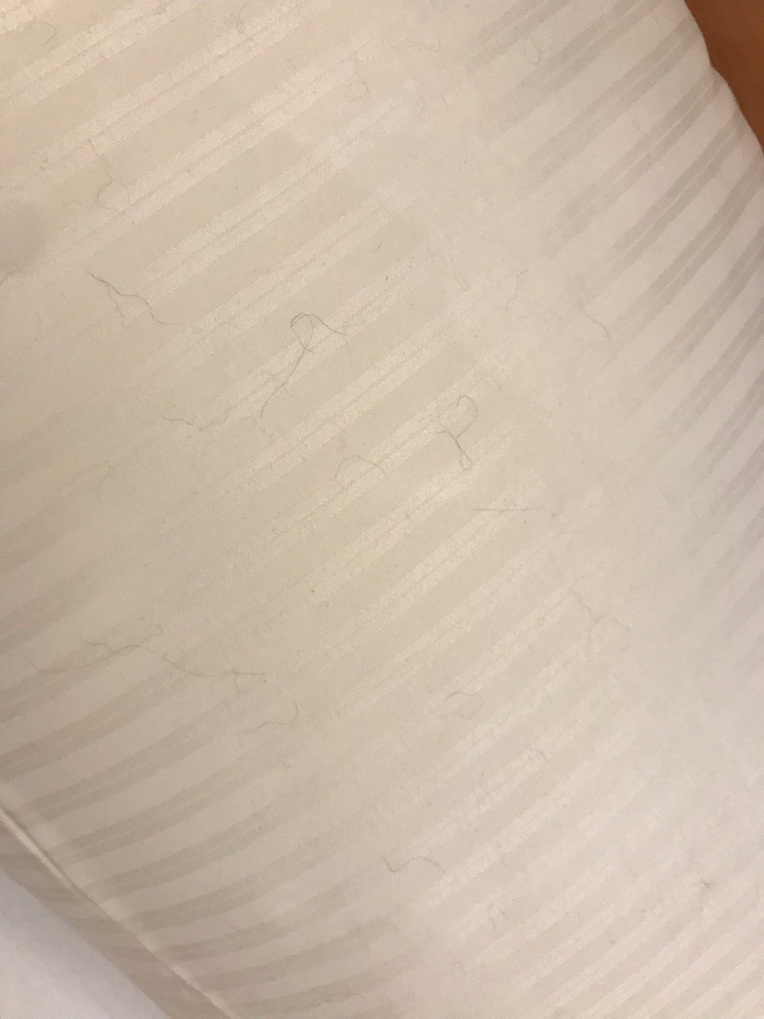 科瑞姆希尔德西斯嘉登酒店-官方