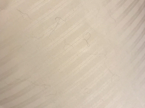 科瑞姆希尔德西斯嘉登酒店主图