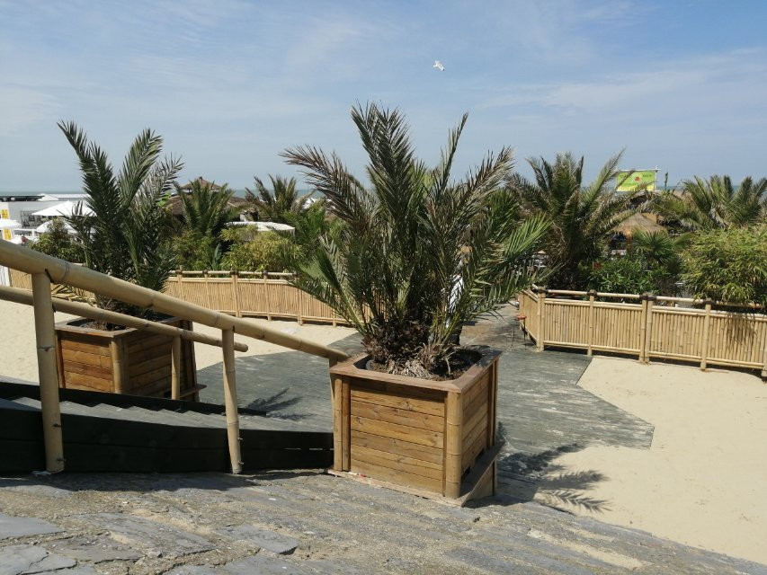 Uitkerke旅游景点-Bamboo Beach
