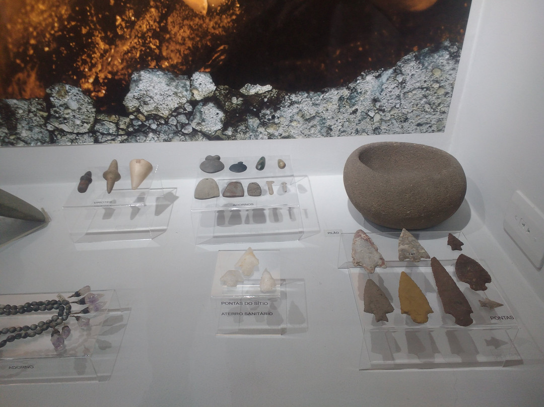 Museu Arqueológico de Sambaqui-Joinville必去景点