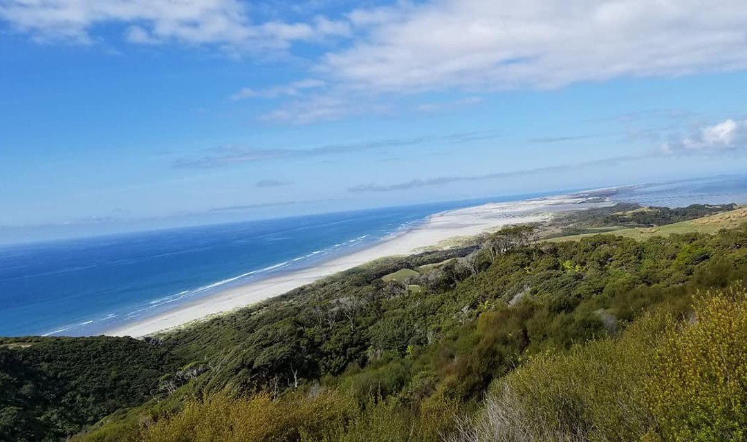 Cape Farewell Horse Treks景点图片
