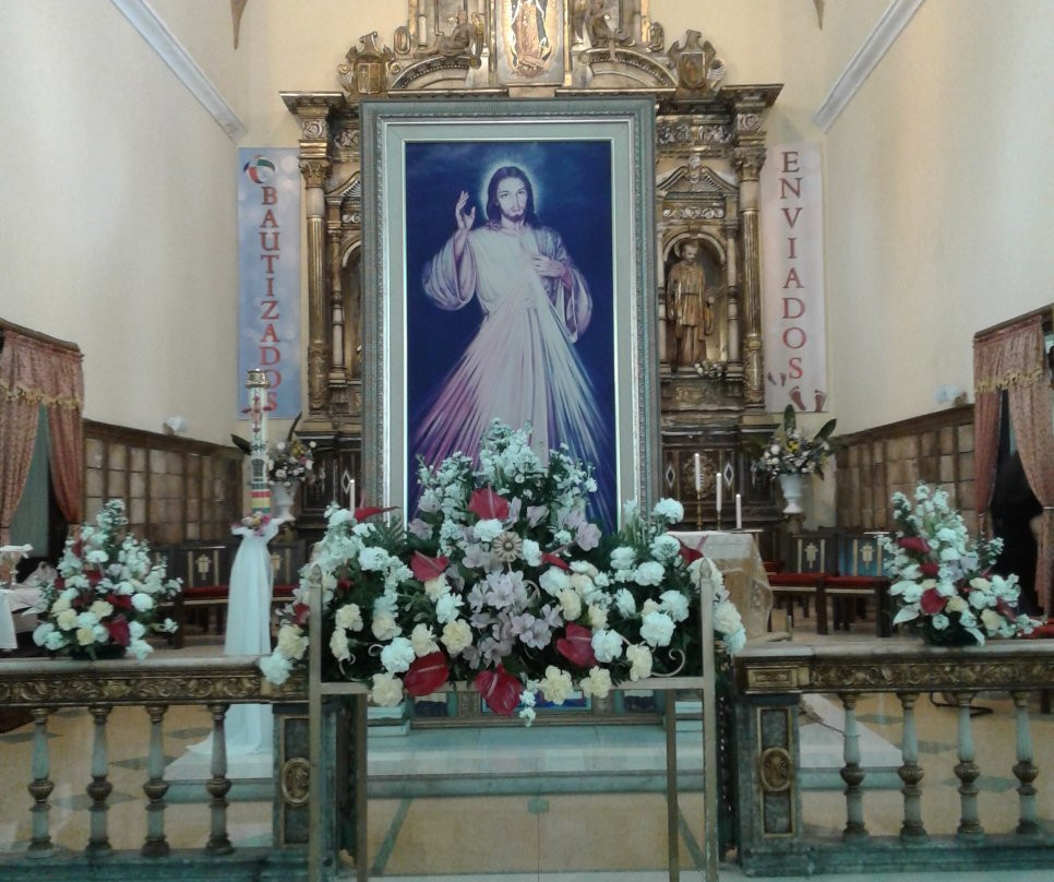 Catedral Nuestra Senora de la Guadalupe景点图片