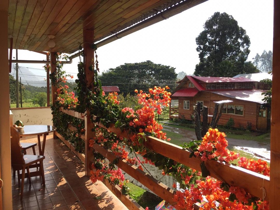 Posada Edelweiss主图