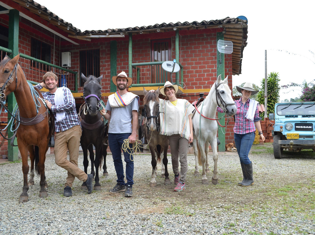 Steel Horse Colombia景点图片