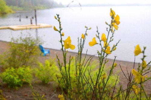 奎纳尔特湖别墅主图