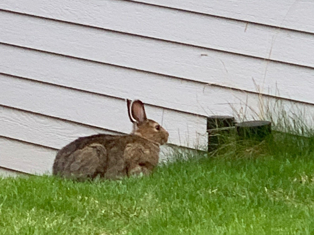 Aurora Denali Lodge主图