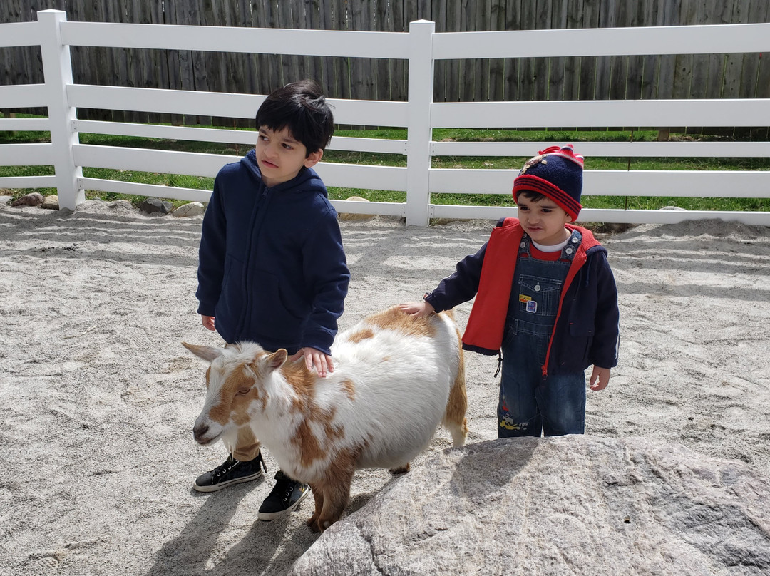 Columbian Park Zoo-拉斐特必去景点