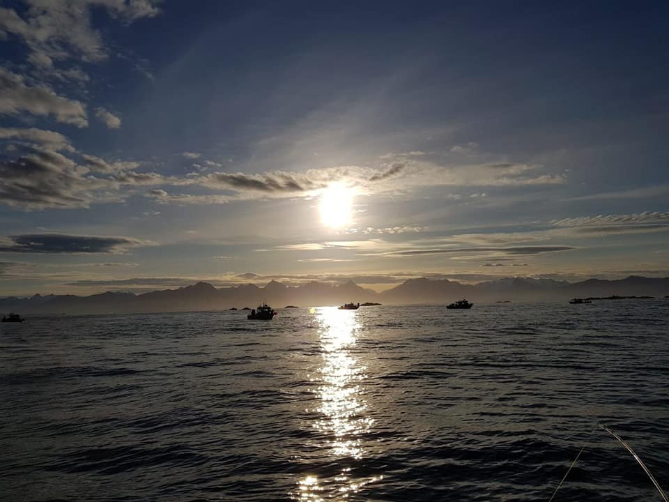 Wild Strawberry Lodge主图