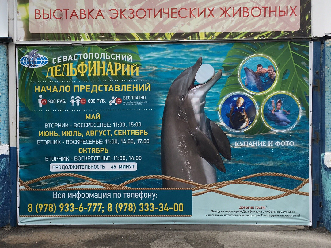 Sevastopol Dolphinarium in Artillery Bay景点图片