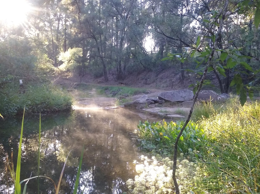 Nymboida Canoe Centre-Nymboida必去景点