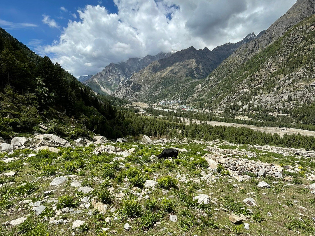Osiya Rangnoo Rakchham Retreat