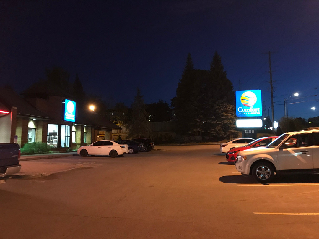 Comfort Inn & Suites主图