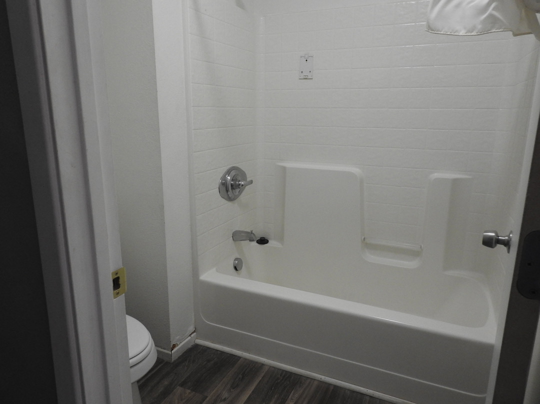 The Atomic Inn主图