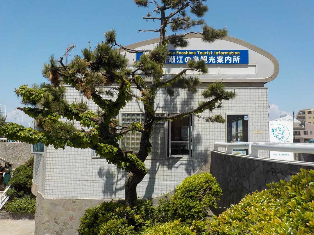Katase Enoshima Tourist Information Center-藤泽市必去景点