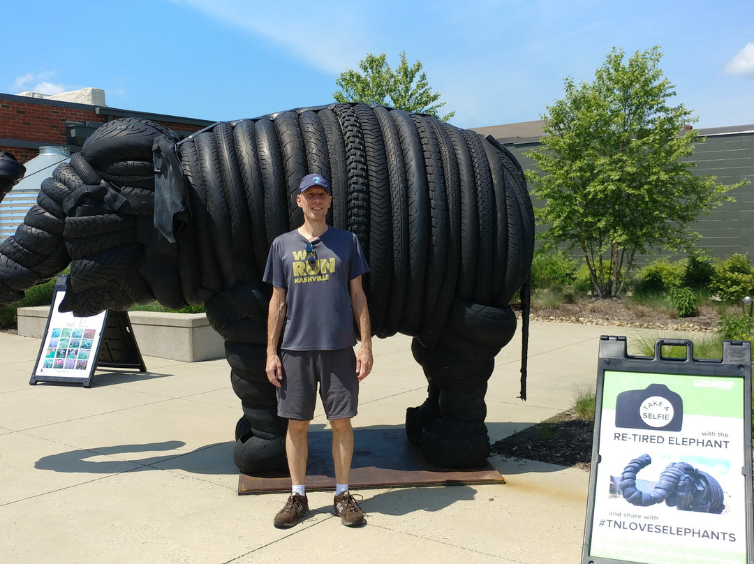 The Elephant Discovery Center-Hohenwald必去景点