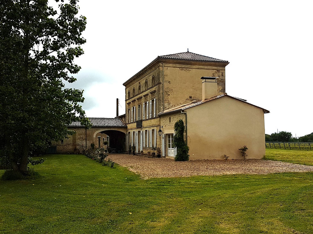 Château La Maronne主图