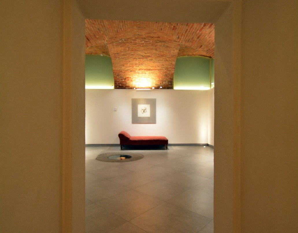 Palazzo Gromo Losa景点图片