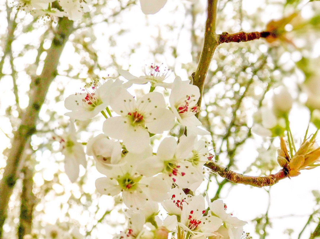 阿尔伯克基北金字塔万豪酒店主图