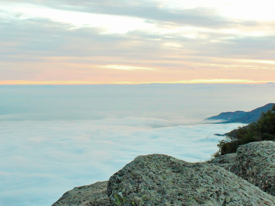 Andes Maule Travel-Linares必去景点