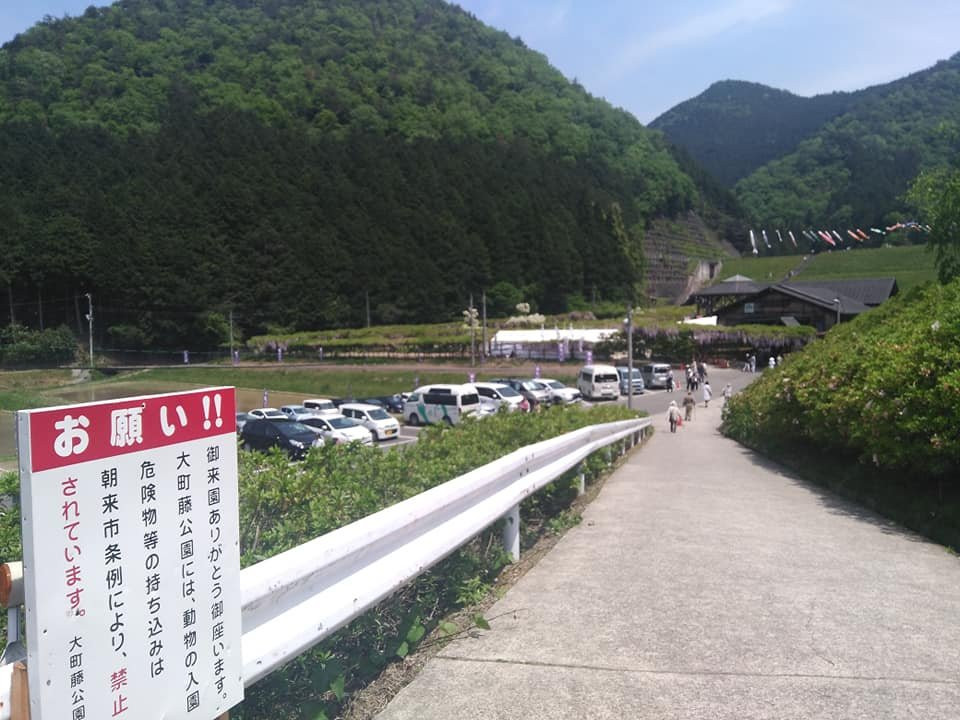 Shirai Omachi Fuji Park-朝来市必去景点