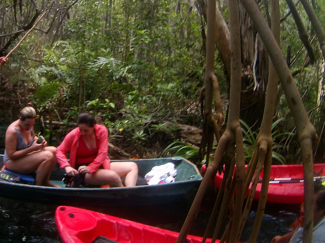 Ensisal Tours-Sisal必去景点