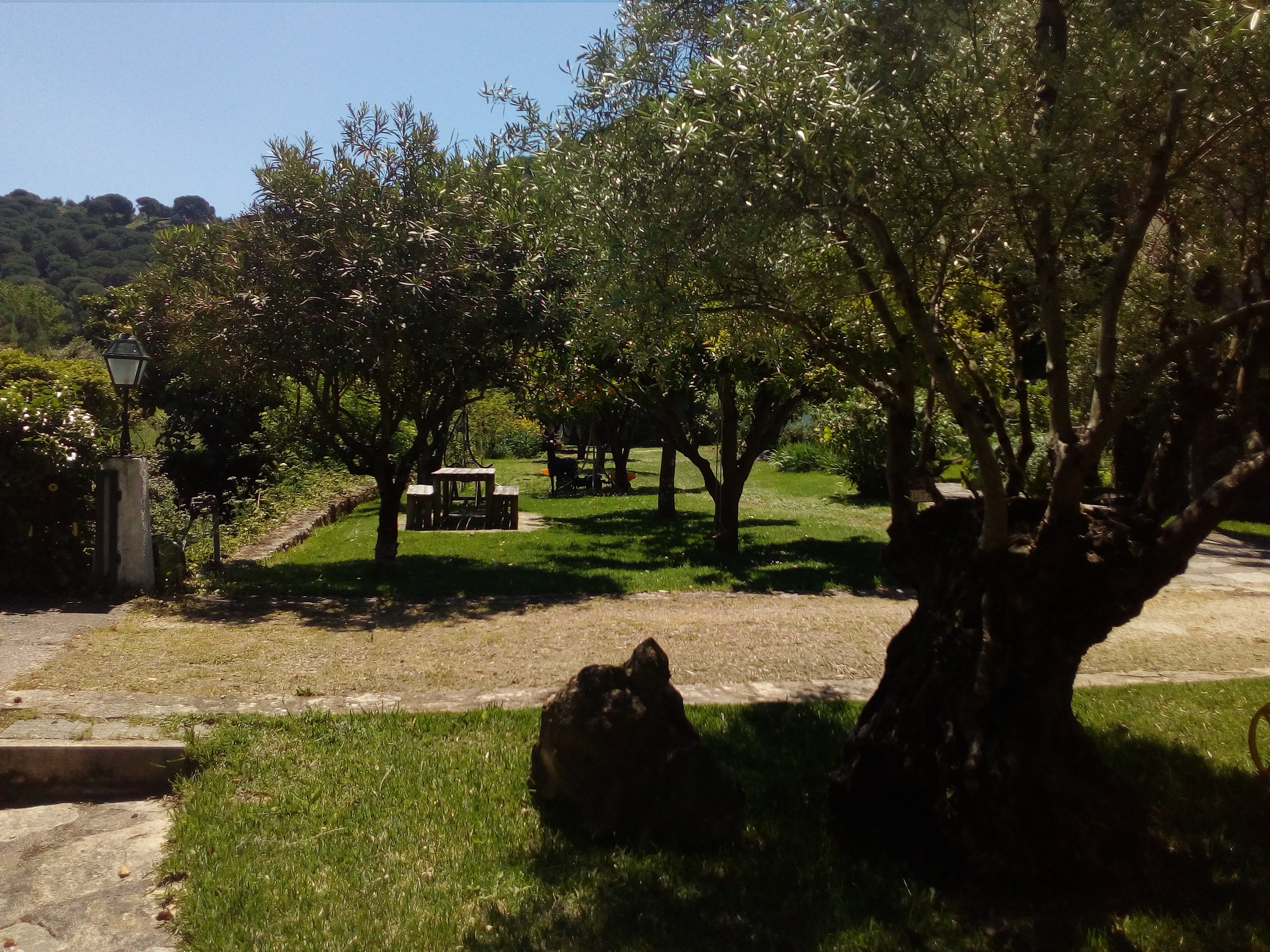 Quinta Rio Alcaide-官方