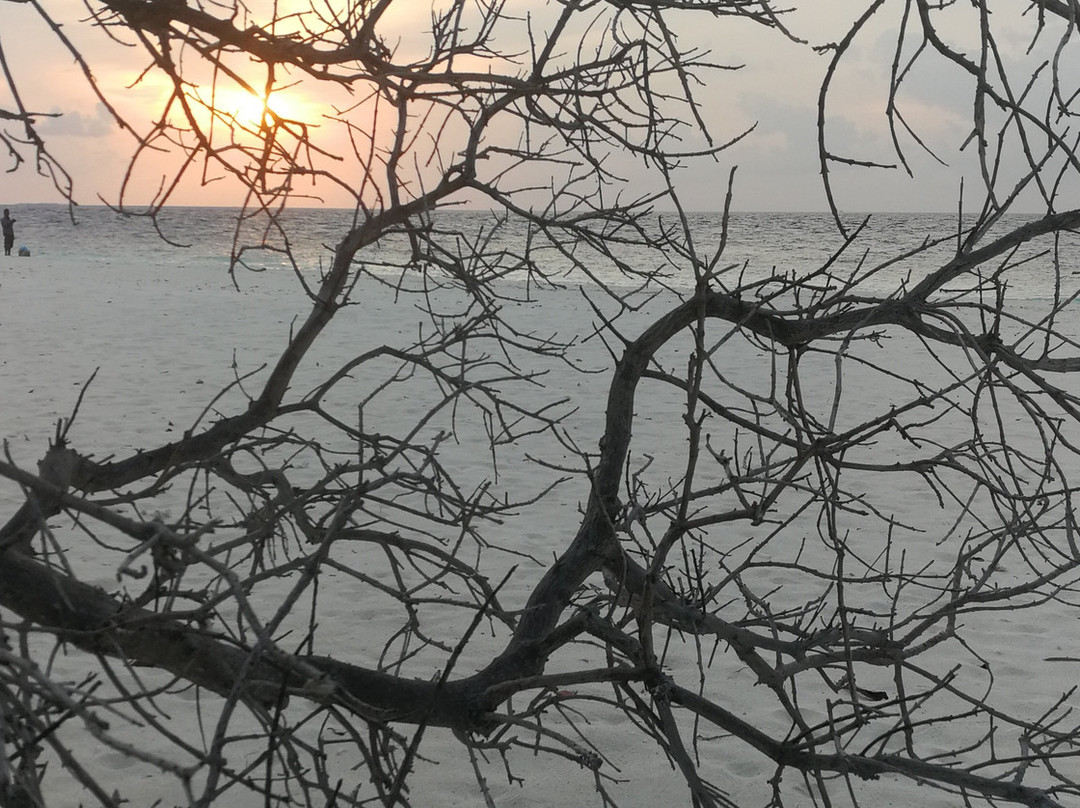 Lvis Blancura Hotel主图