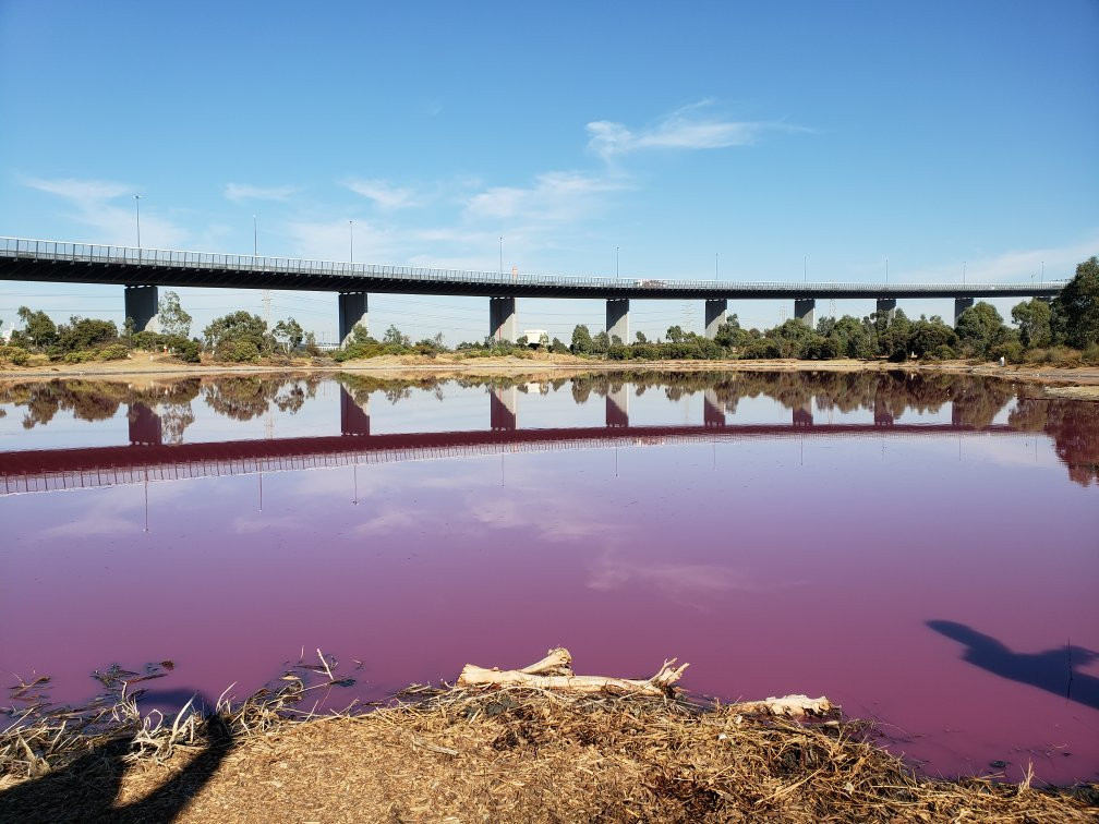 Salt Water Lake-墨尔本必去景点