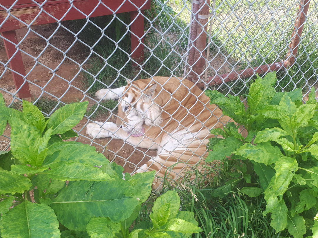 Center for Animal Research & Education-Bridgeport必去景点