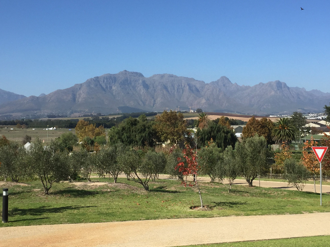 野蘑菇精品宾馆主图