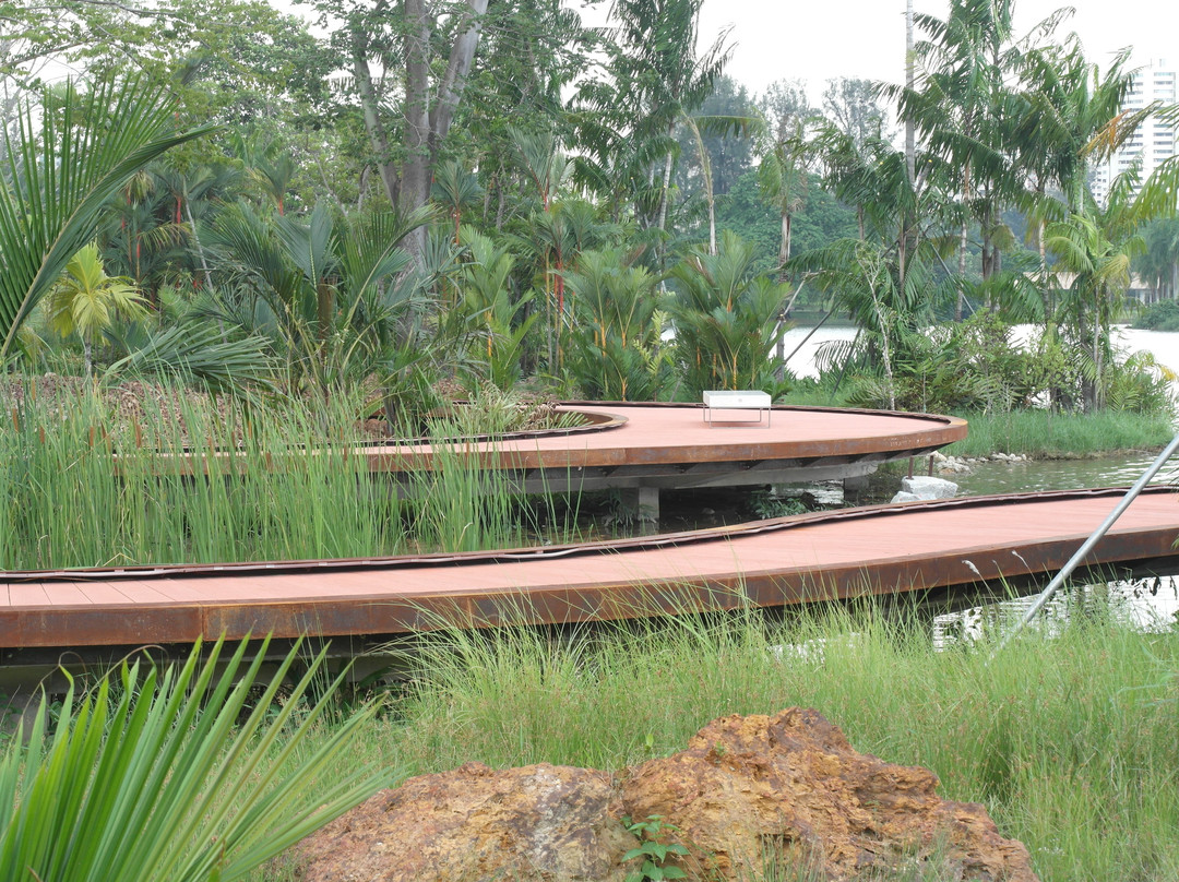 Jurong Lake Garden-新加坡必去景点