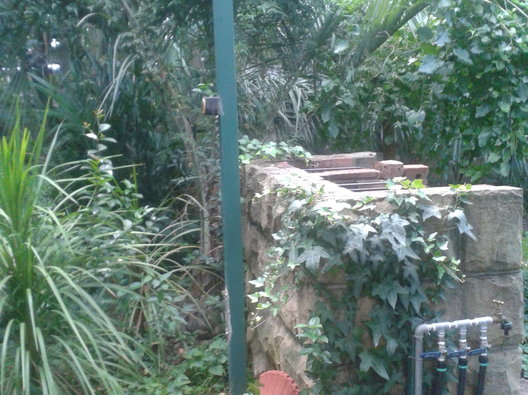 Ladybrand Guest House主图