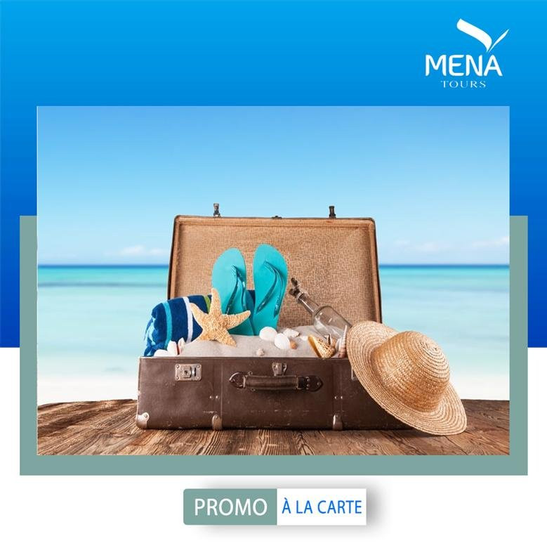 MENA Tours