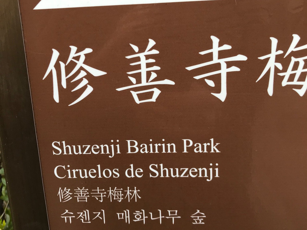 Shuzen-ji Temple Plum Grove-伊豆市必去景点