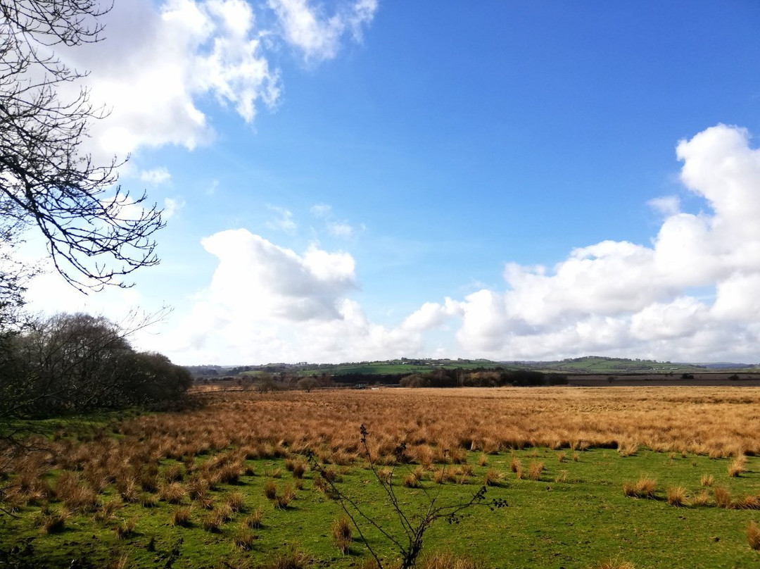 Cors Caron-Tregaron必去景点