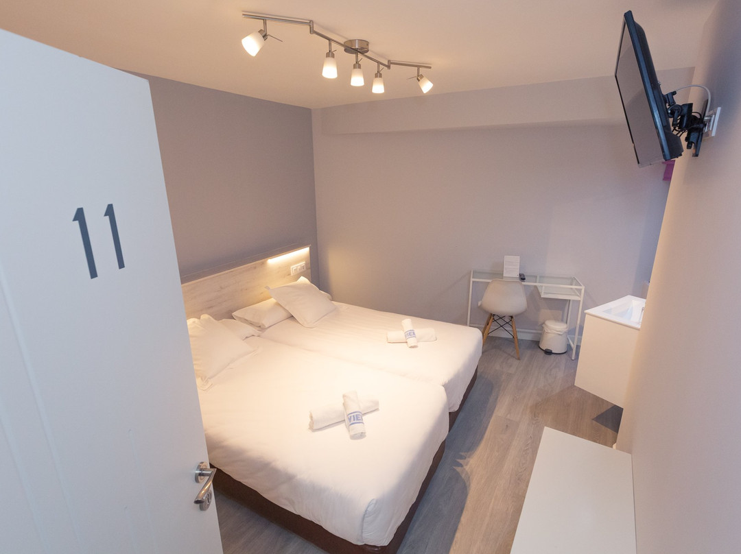 Hostal Viena主图