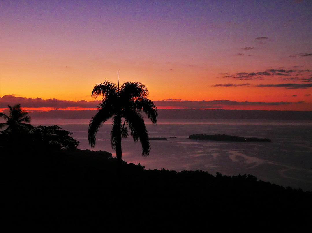 Hacienda Cocuyo主图