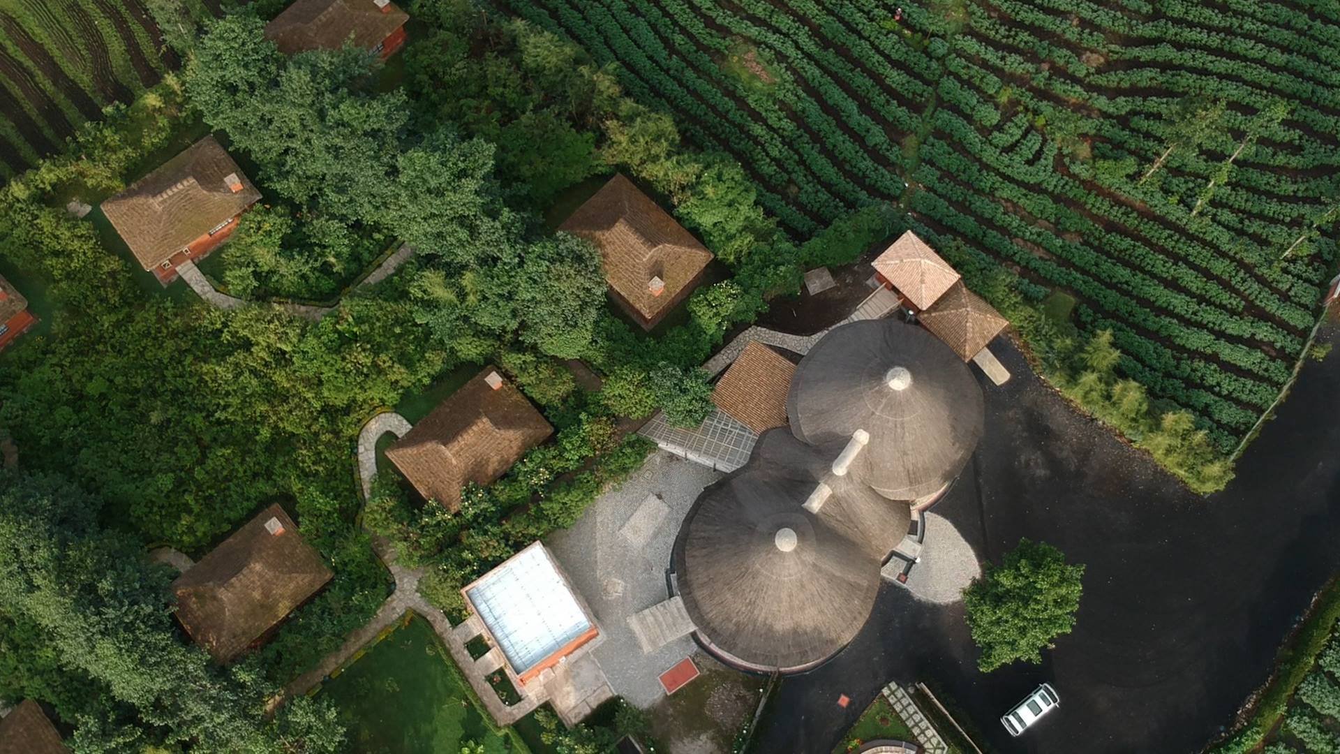 Ingagi Park View Lodge-官方