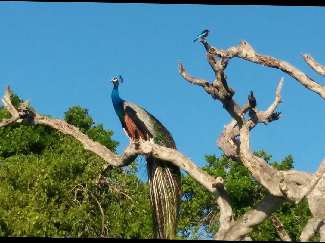 The Rock Hotel主图