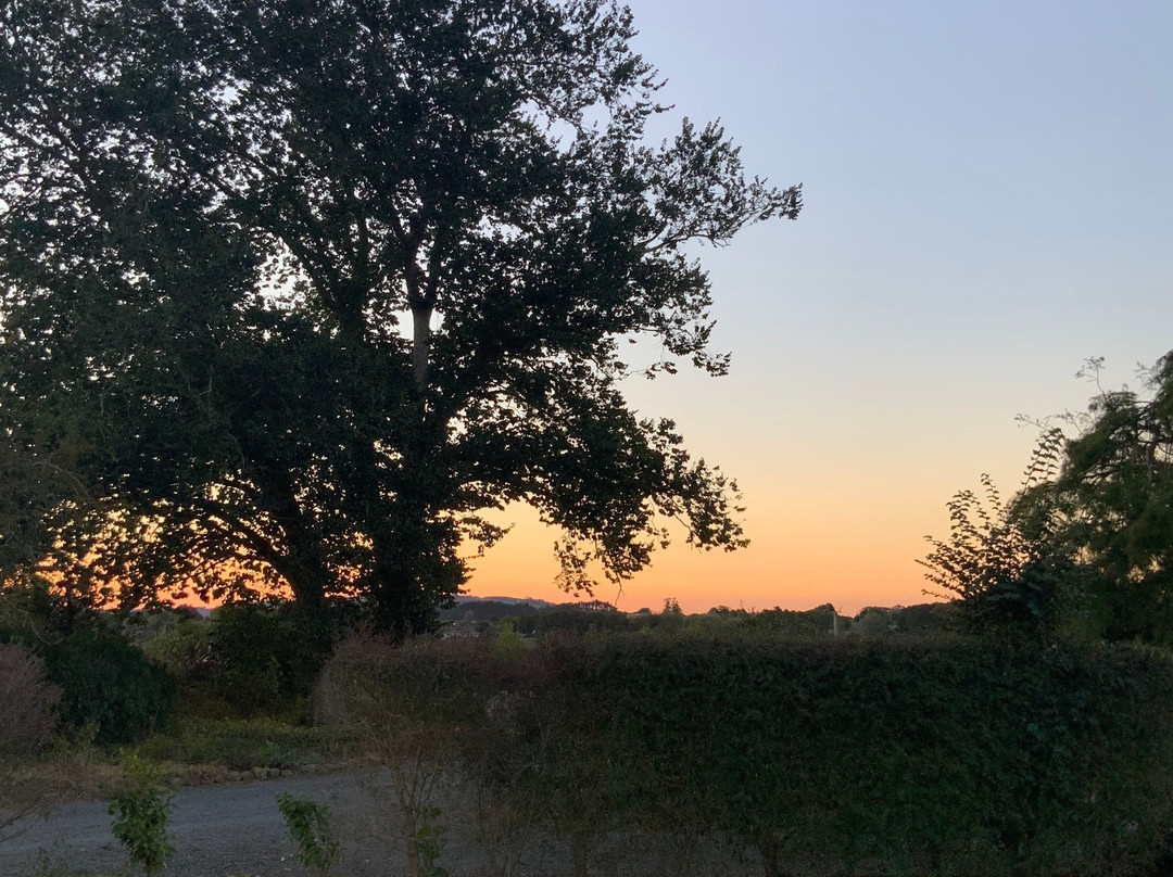 Lavalla Estate主图