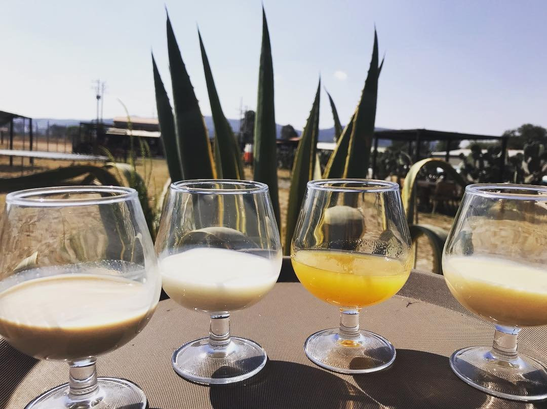 Cerveceria Opalo-Tequisquiapan必去景点