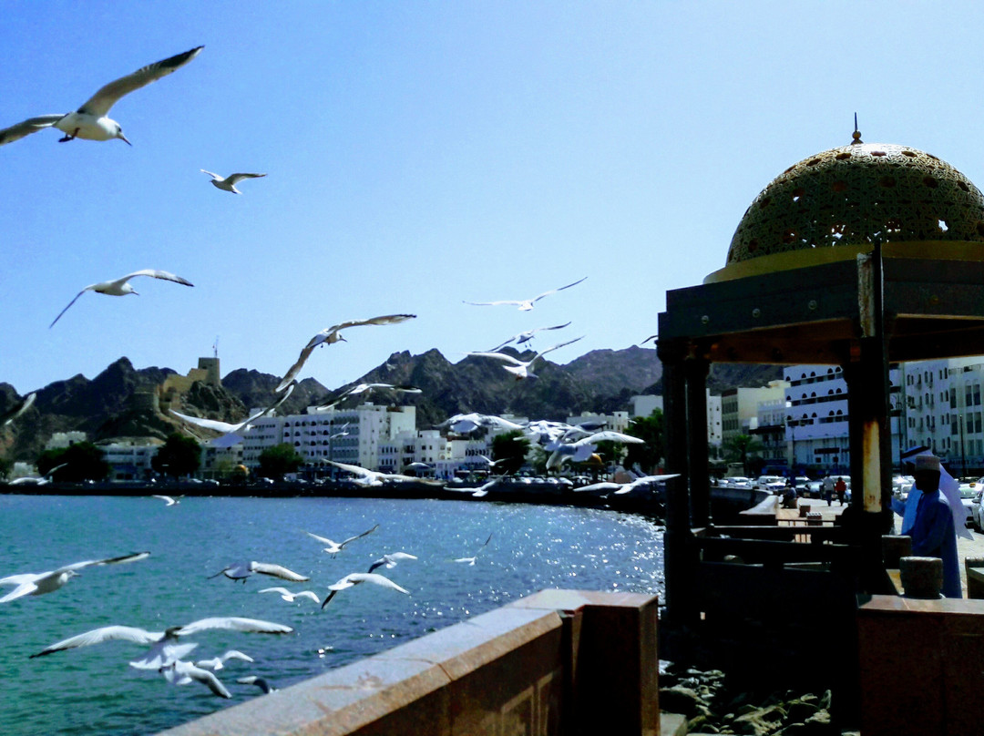 Mutrah Fish Market景点图片