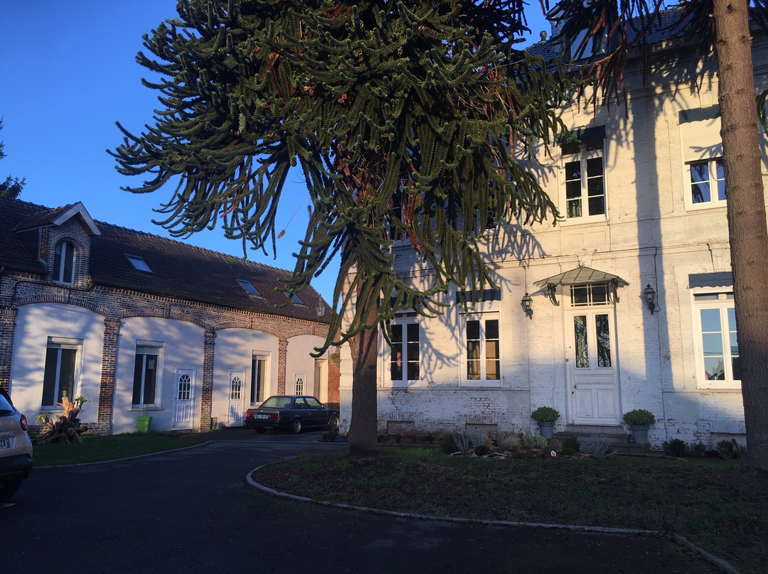 Domaine des Araucarias主图