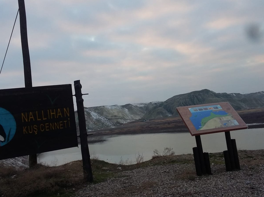 Nallıhan Bird Sanctuary景点图片